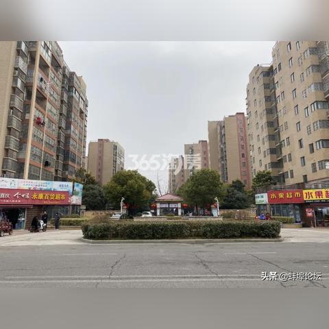 淮上区二手房最新房源解析