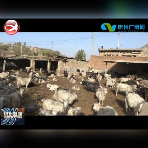 五台县新闻快报，最新消息汇总