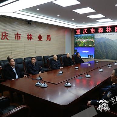 重庆2025年退休金最新消息解读