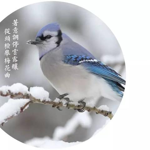 江南文苑二手房市场趋势预测（XXXX年最新动态）