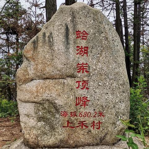 赣州市水西镇最新动态报道