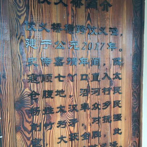 漫游飒飒v2.3新功能解析，探索数字世界的极致体验