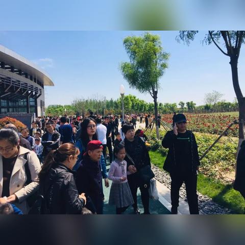 聊城九州洼最新进展深度解读