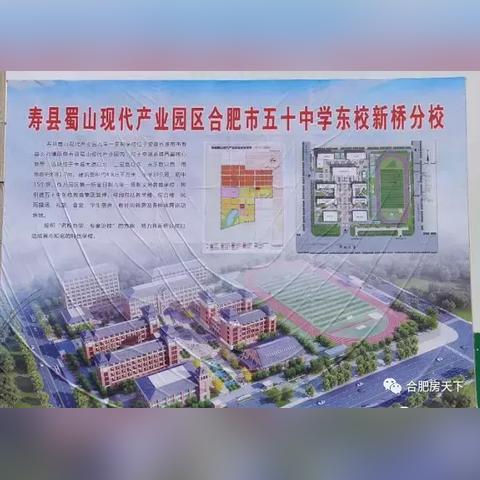 文一叶语湾最新动态报道