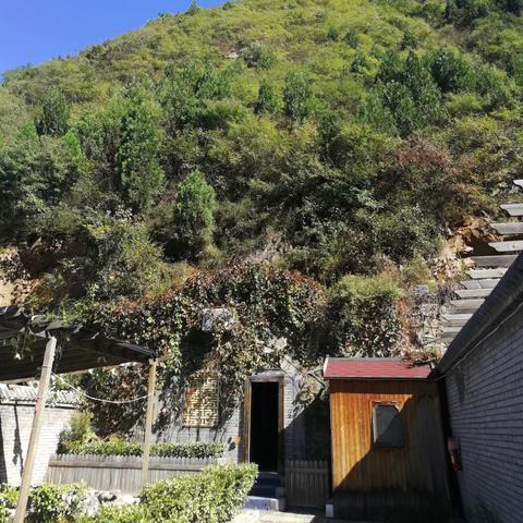 嵩县八里滩发展动态综述，最新消息汇集